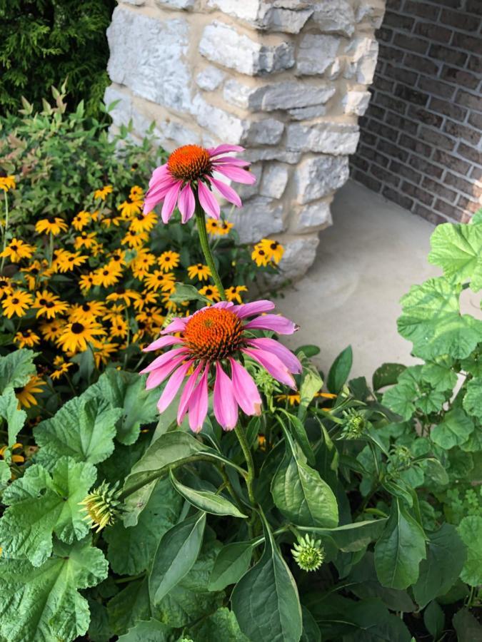 Winnie'S Bed & Breakfast Lawrenceburg Bagian luar foto